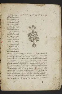 Portada de la novela Masālik al-abṣār fī mamālik al-amṣār. [مسالك الابصار في ممالك الامصار] en العربية